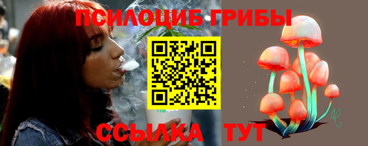 Галлюциногенные грибы Psilocybe Дзержинский